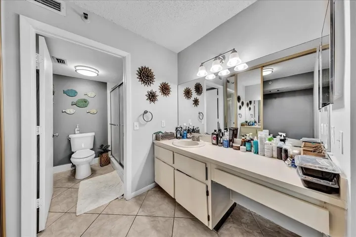 Primary Bathroom area