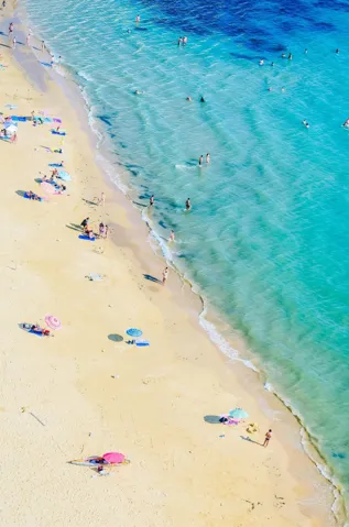 SoFl Lifestyle Beach Aerial