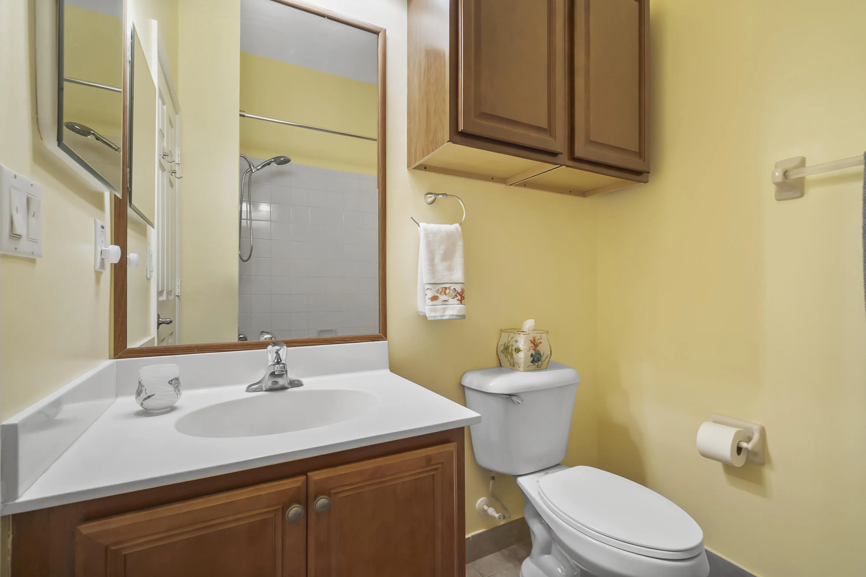 Guest bathroom
