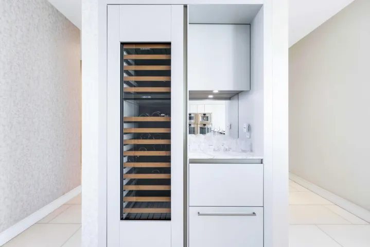 Wine Cooler & Wet Bar