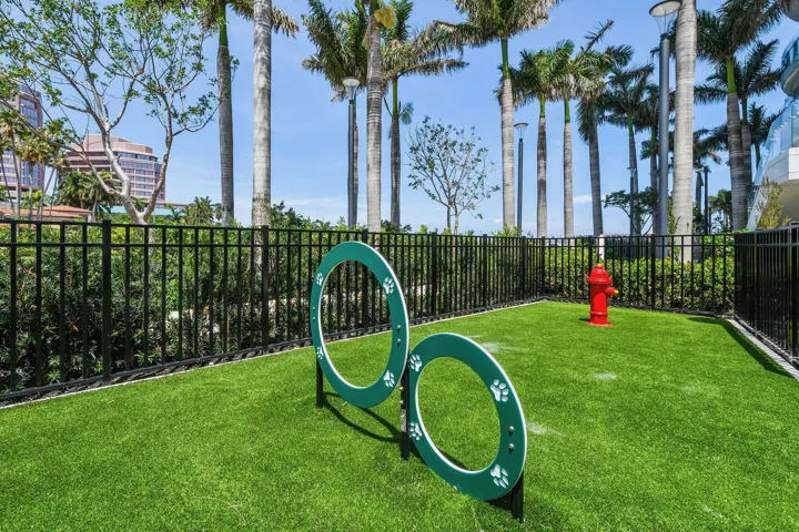 Dog Park