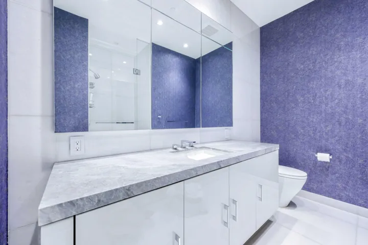 Guest Bathroom 2