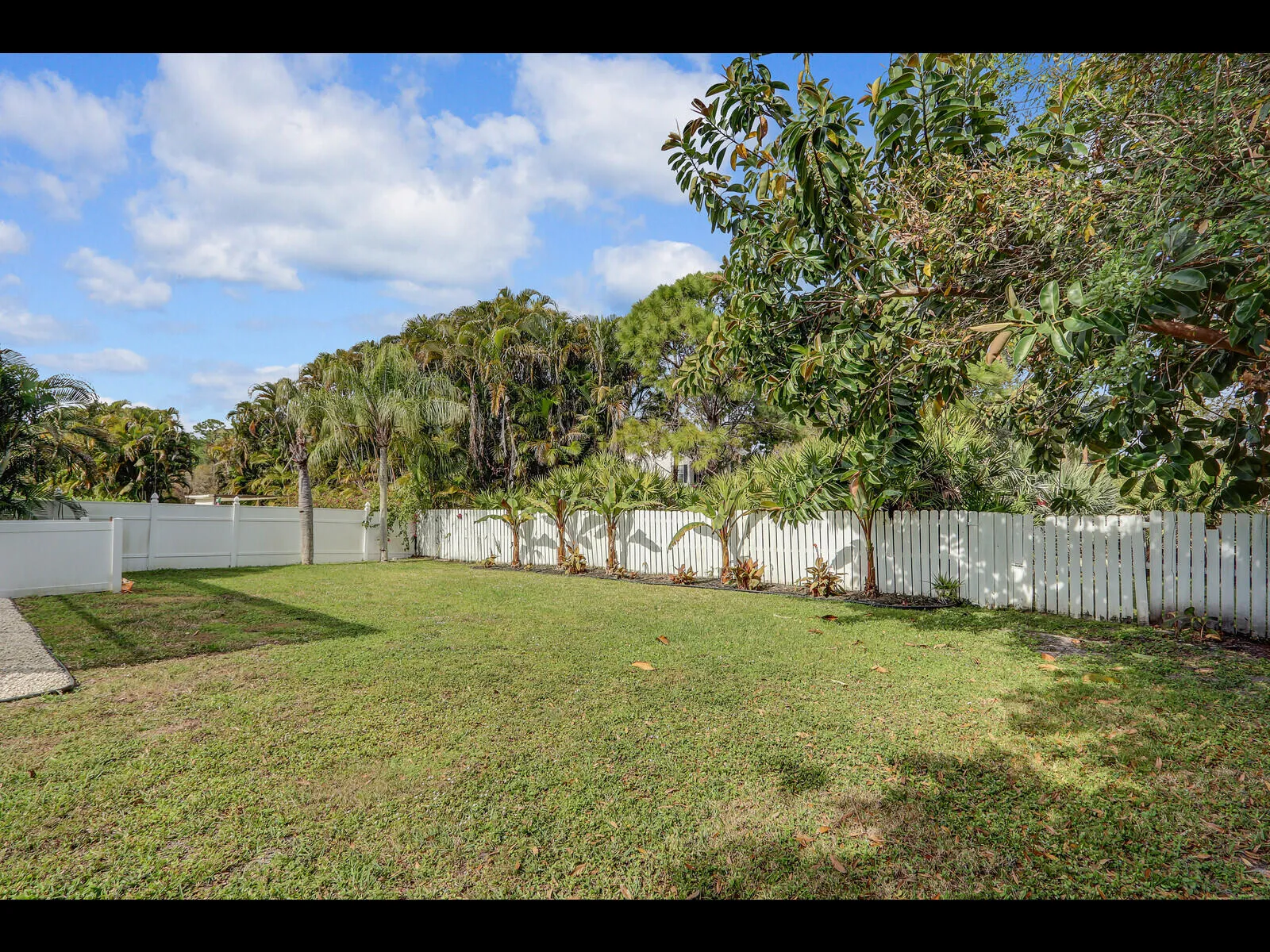Fenced in year