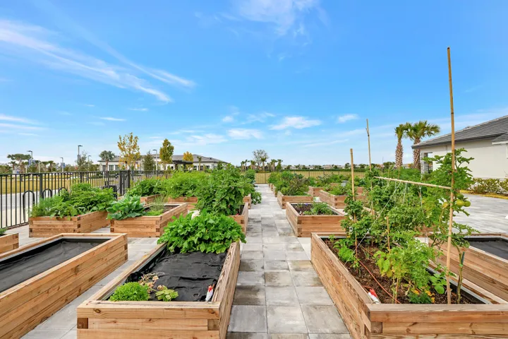 RIVERLAND AMENITIES