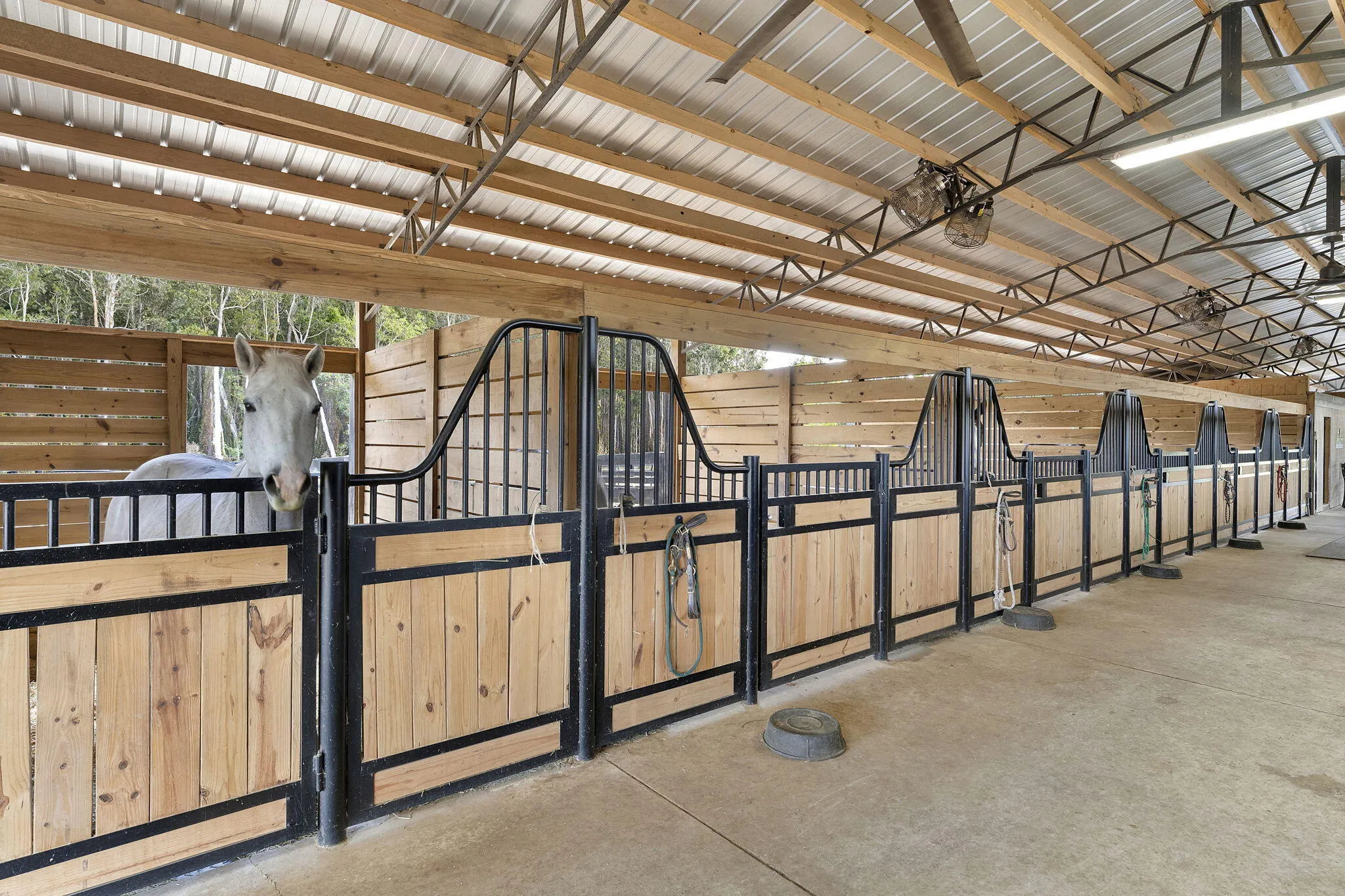 43-web-or-mls-DSC05321
