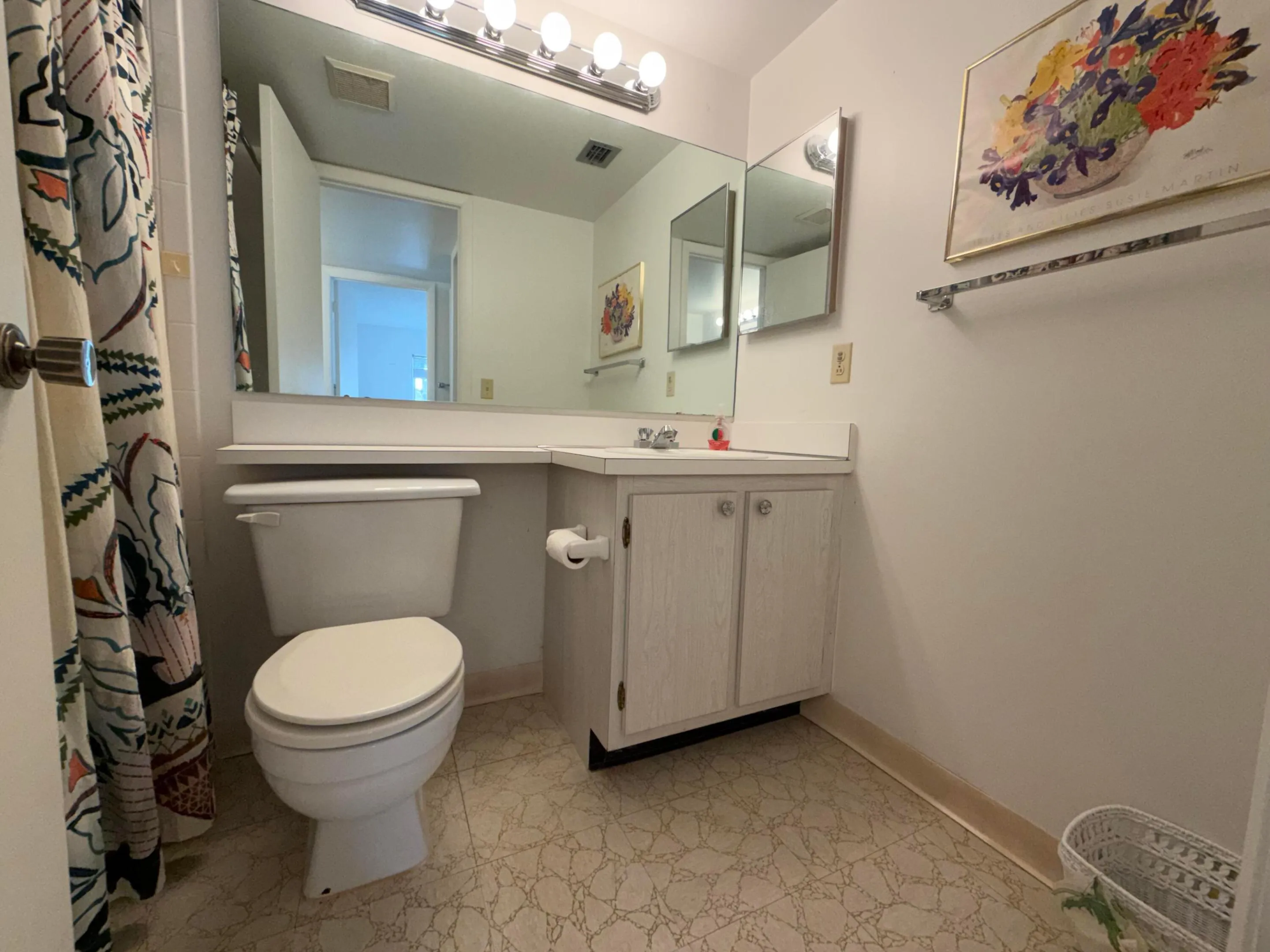 Separate Vanity with Tub/Shower