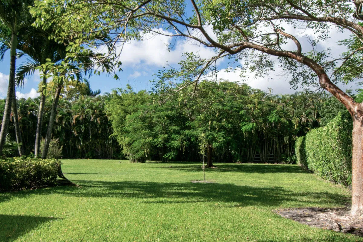 Property photo 42