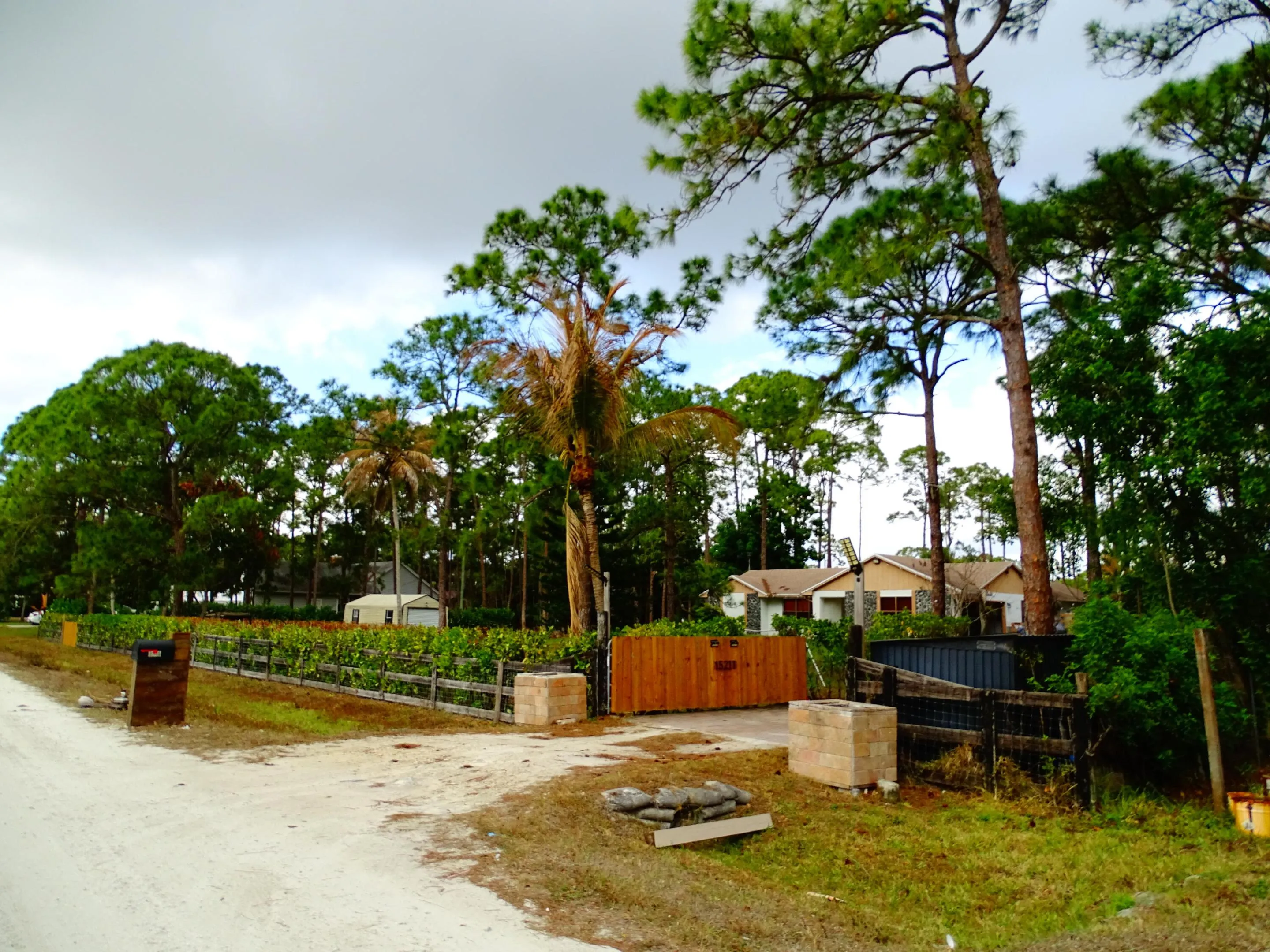 DSC03300