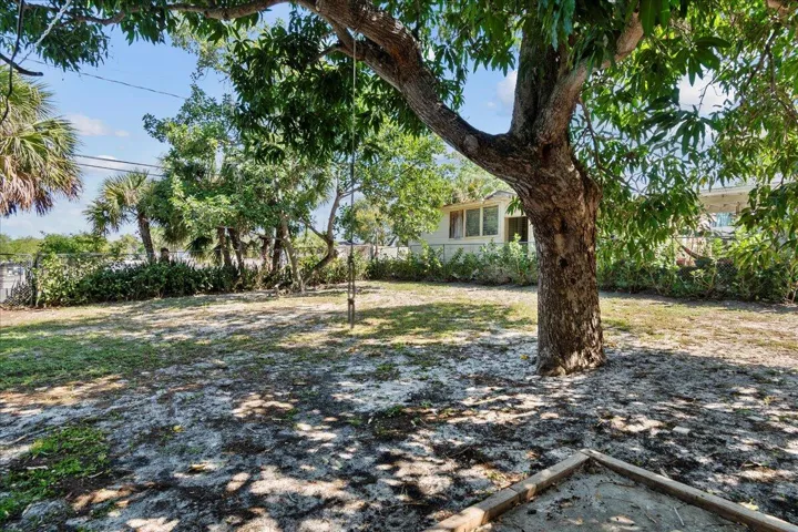 23-Back Yard