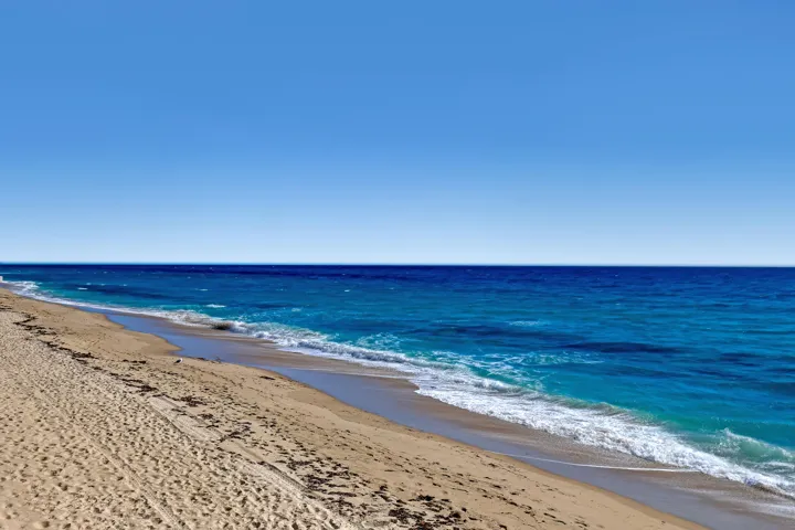 3610 S Ocean #508 (50)