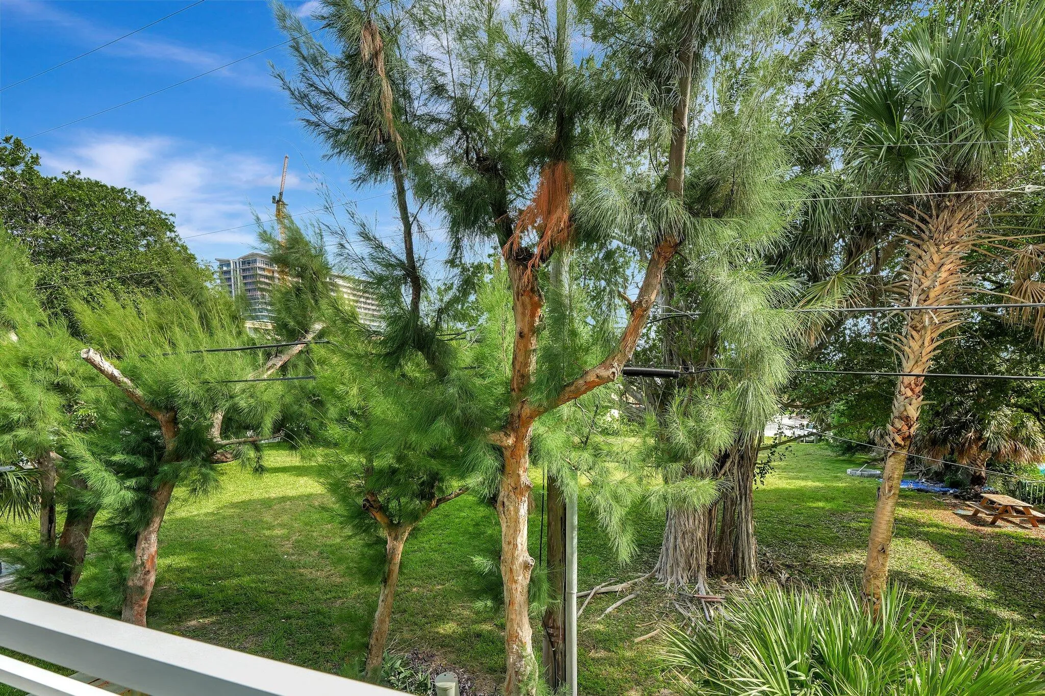 Main Balcony View