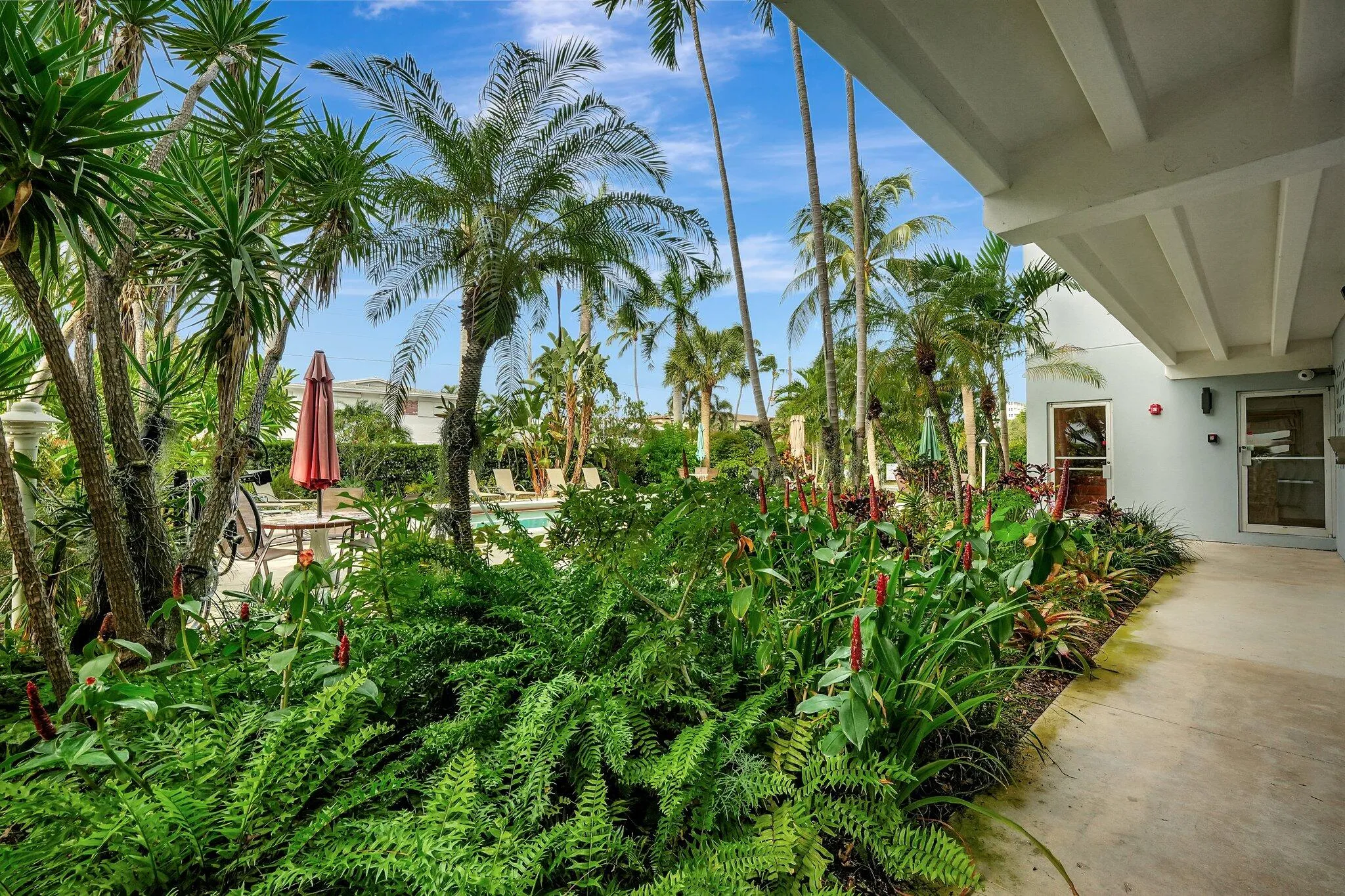 45-web-or-mls-DSC02581