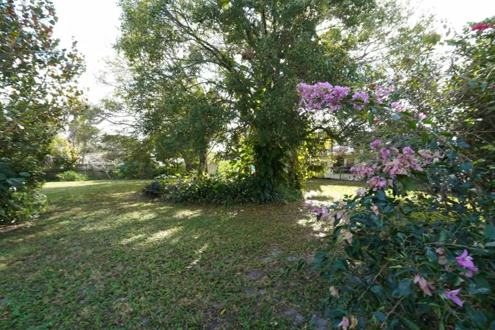 yard 23