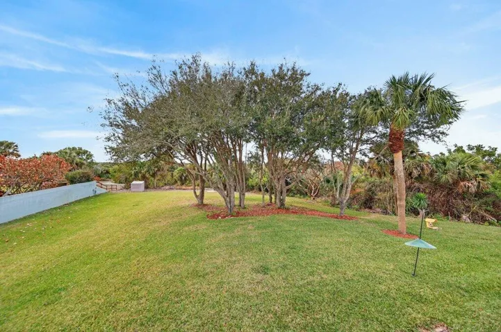 backyard1.jpg-SMALL