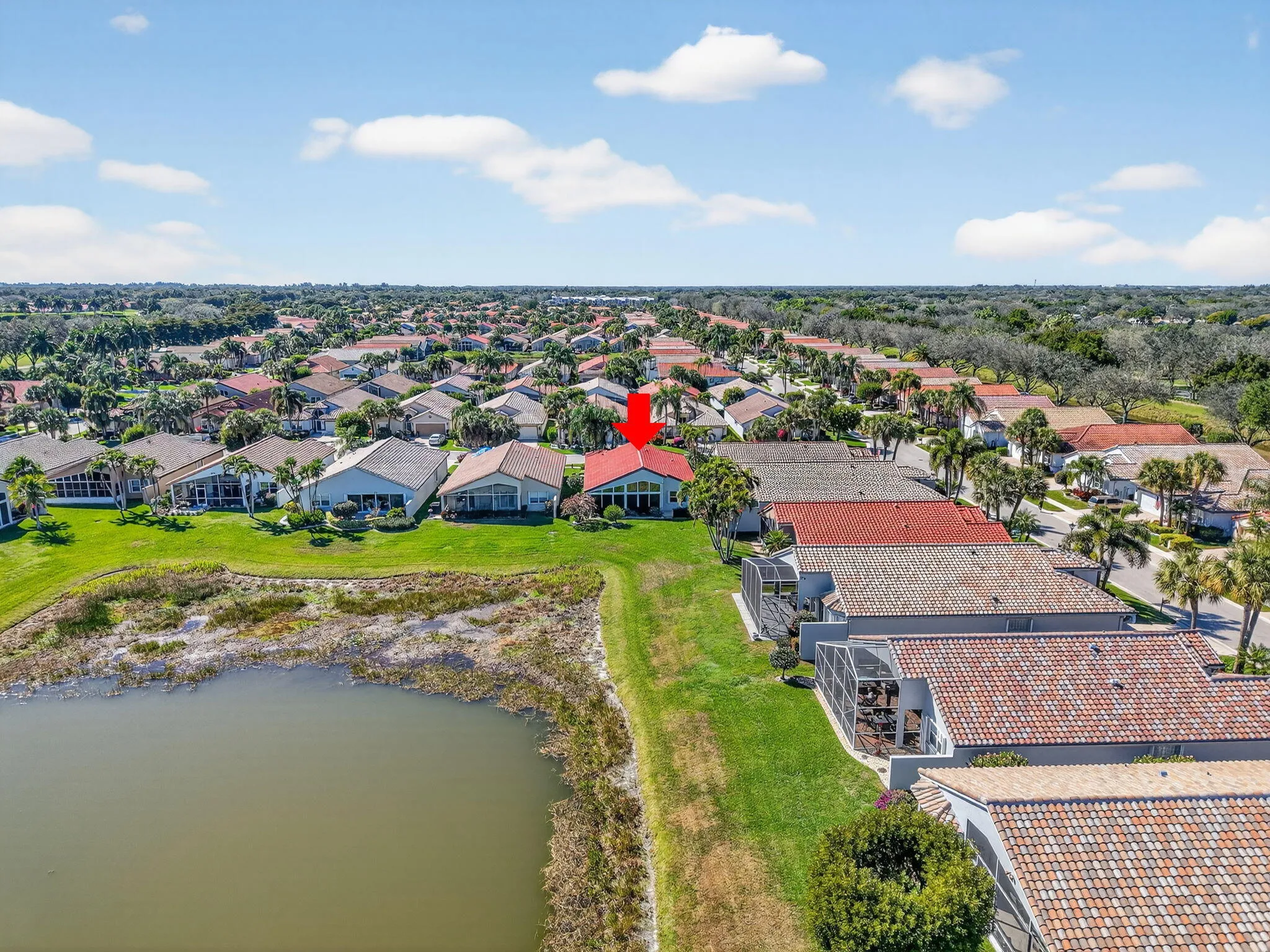 41-web-or-mls-DJI_20260224142437_0466_D