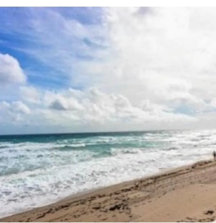 Palm Beach