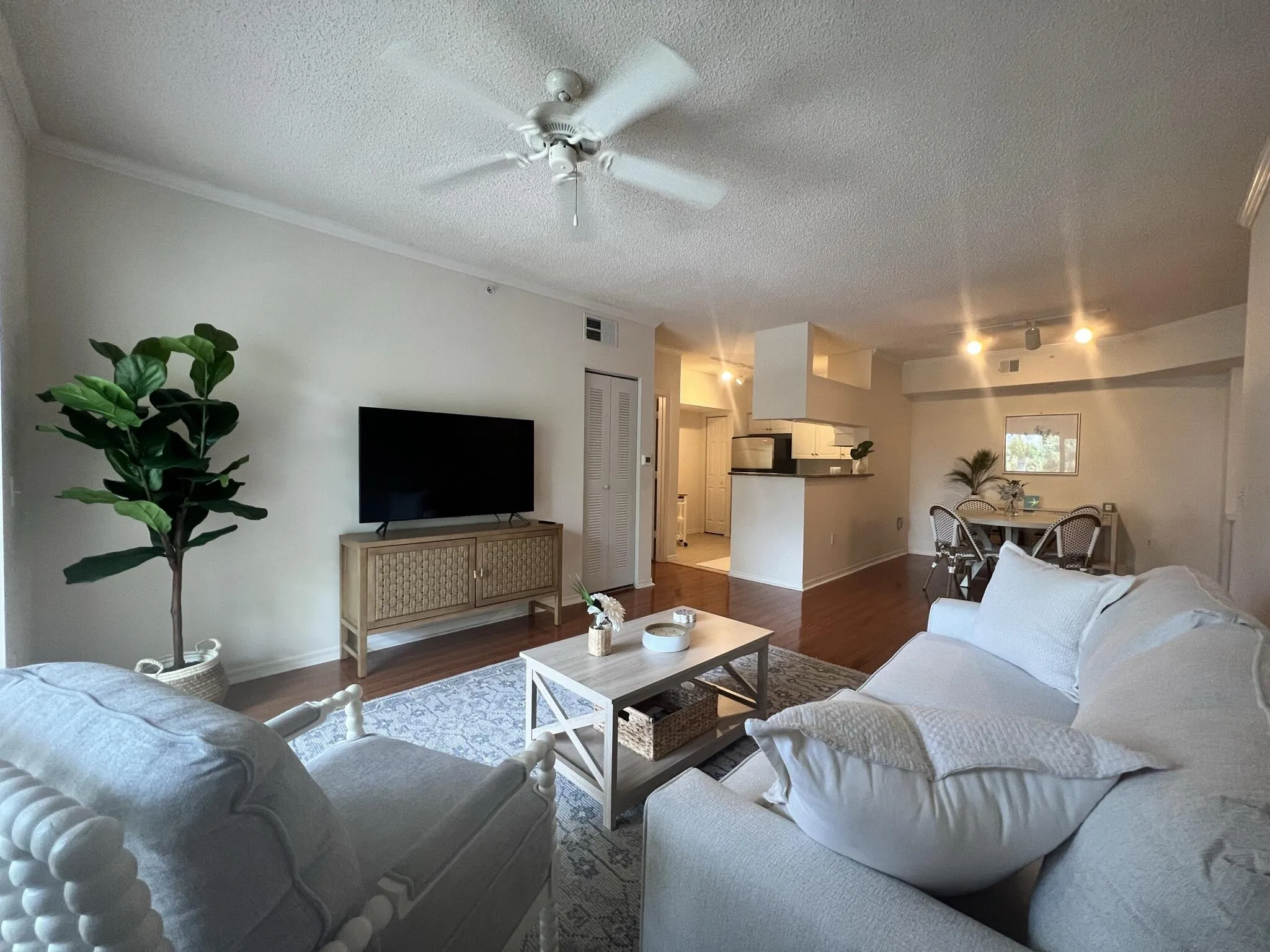 The Living Area