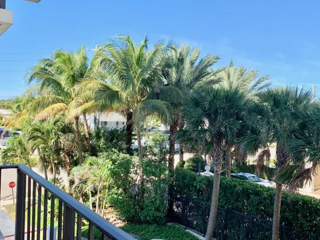 PALM TREED STREET PB SHORES