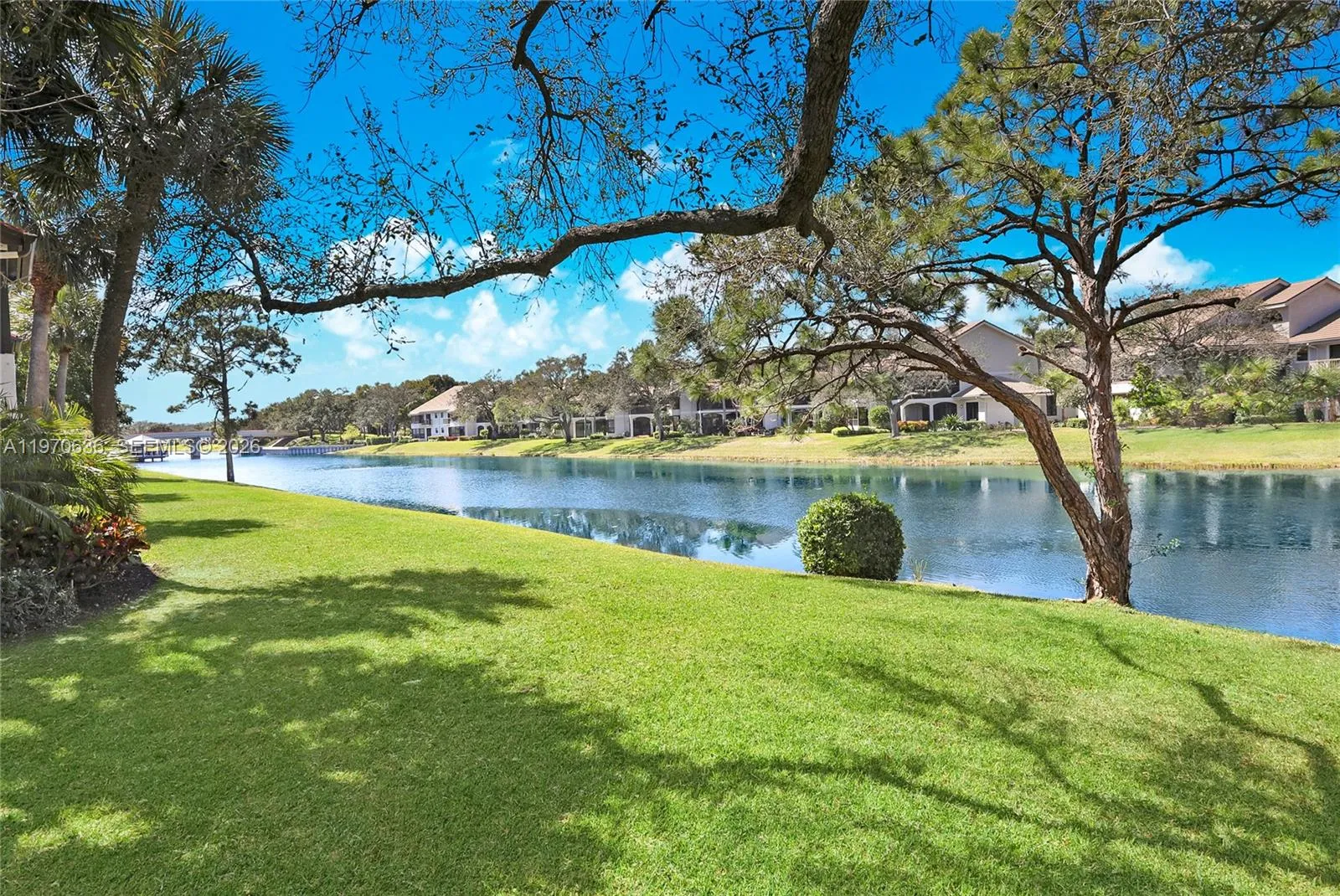 Lake view
