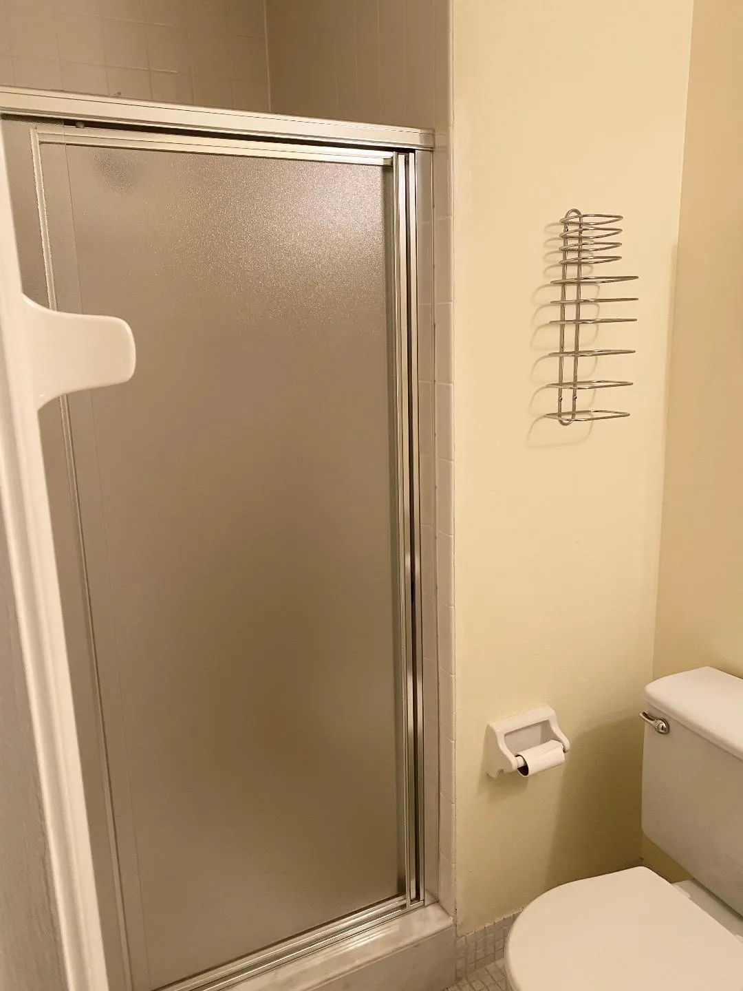 Guest shower