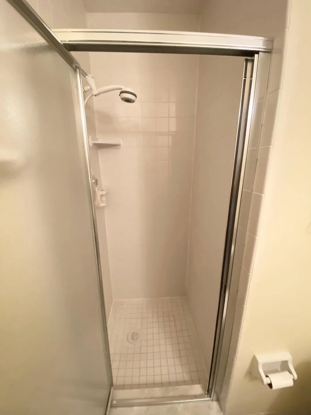 Guest shower