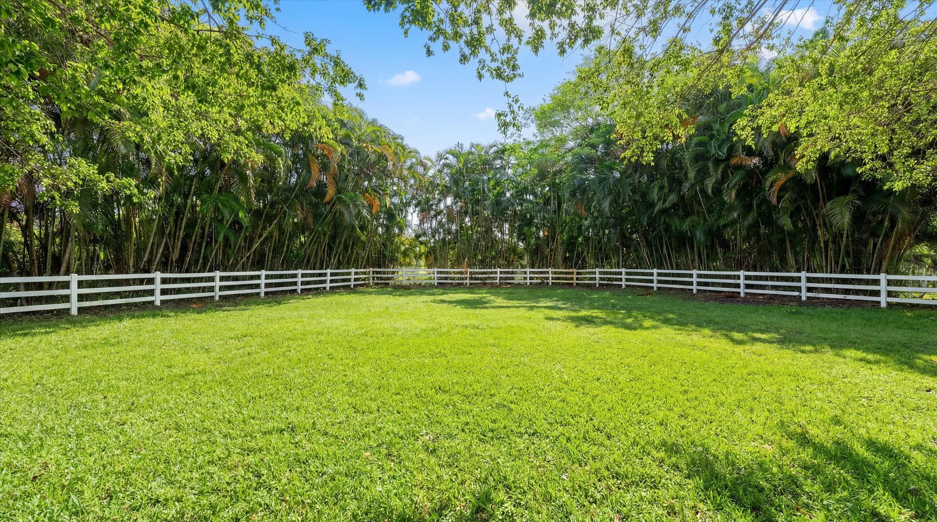 Property photo 59