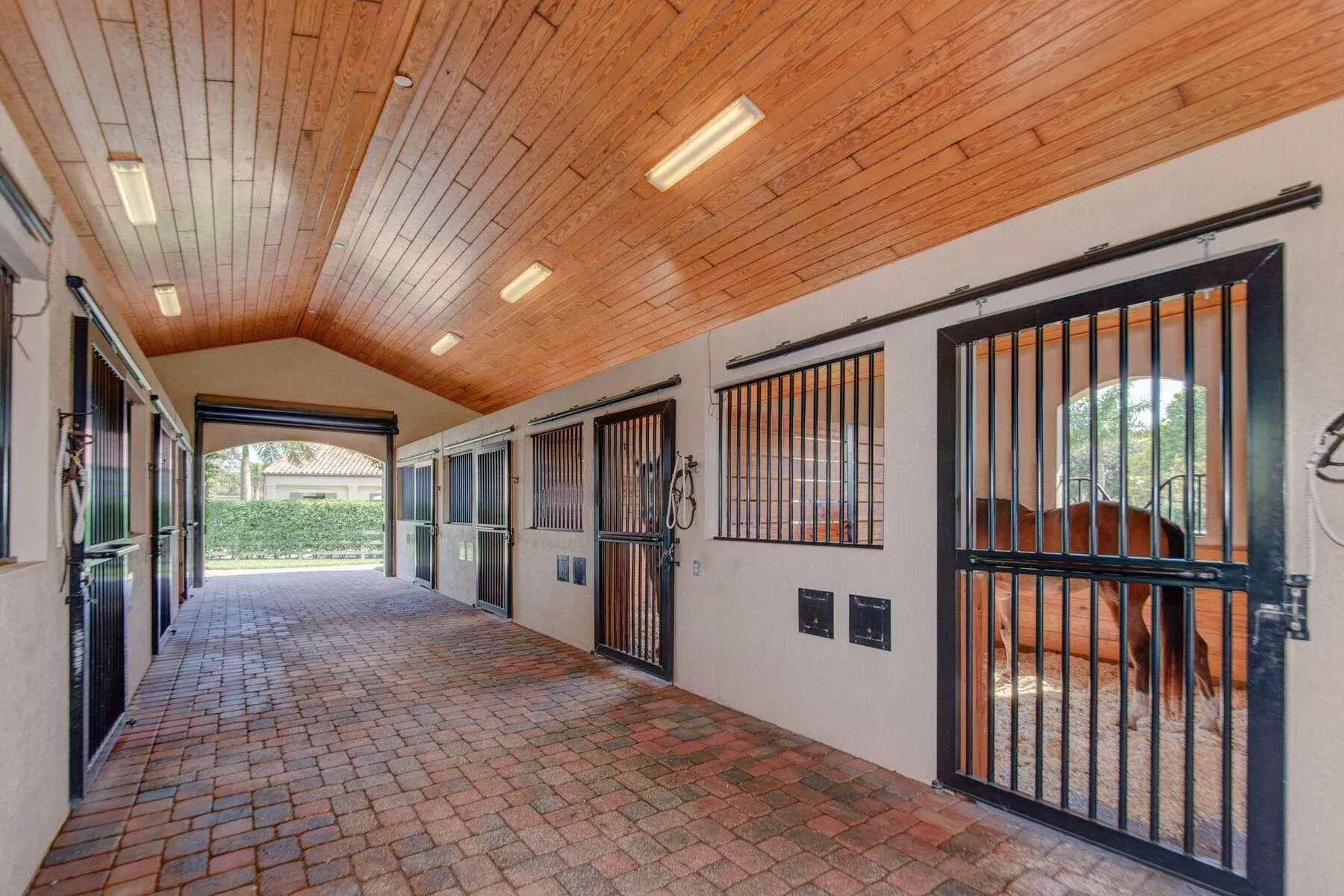 Property photo 46