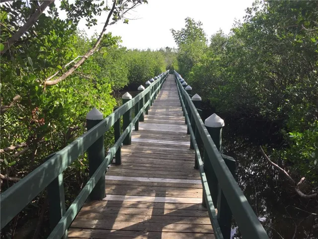 trail