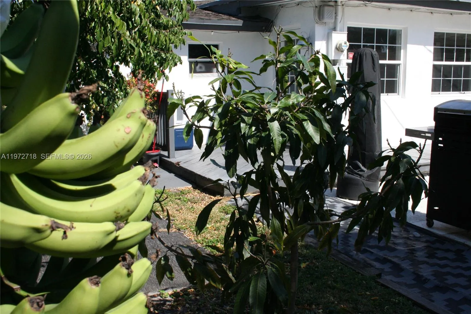 Fruit Trees