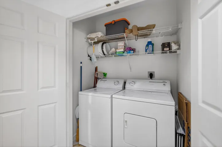 45-web-or-mls-5D1A0593