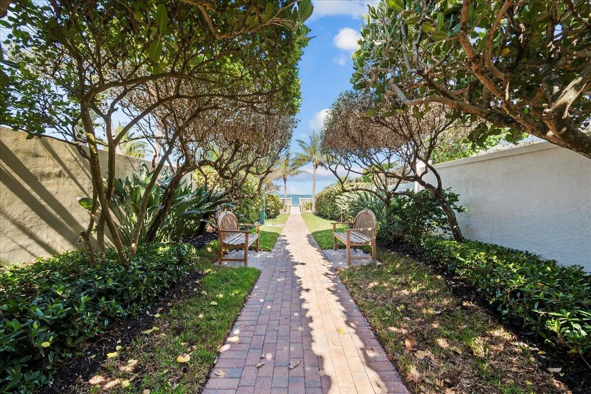 Path to the Ocean