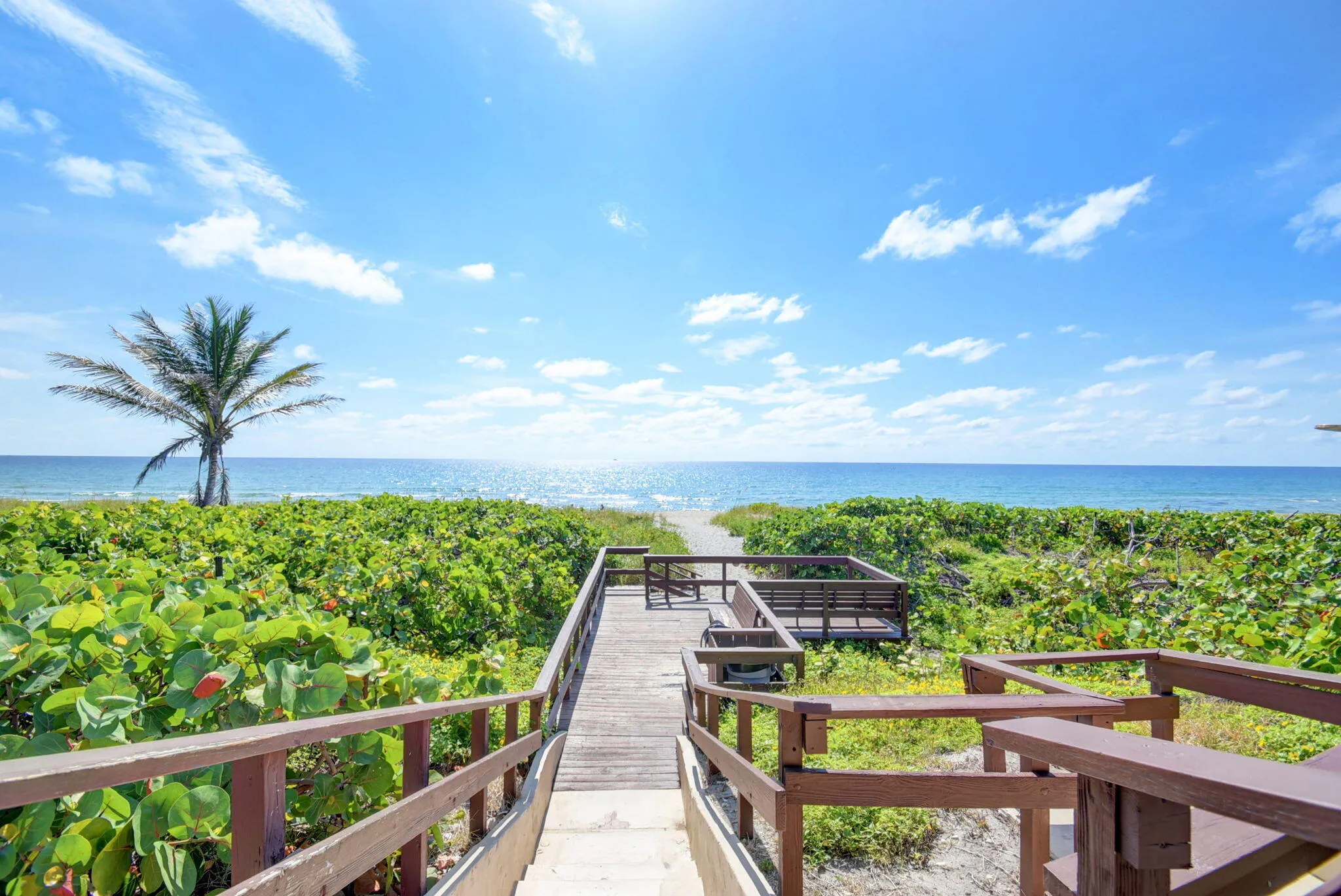 51-web-or-mls-54_san remo (3) - Copy