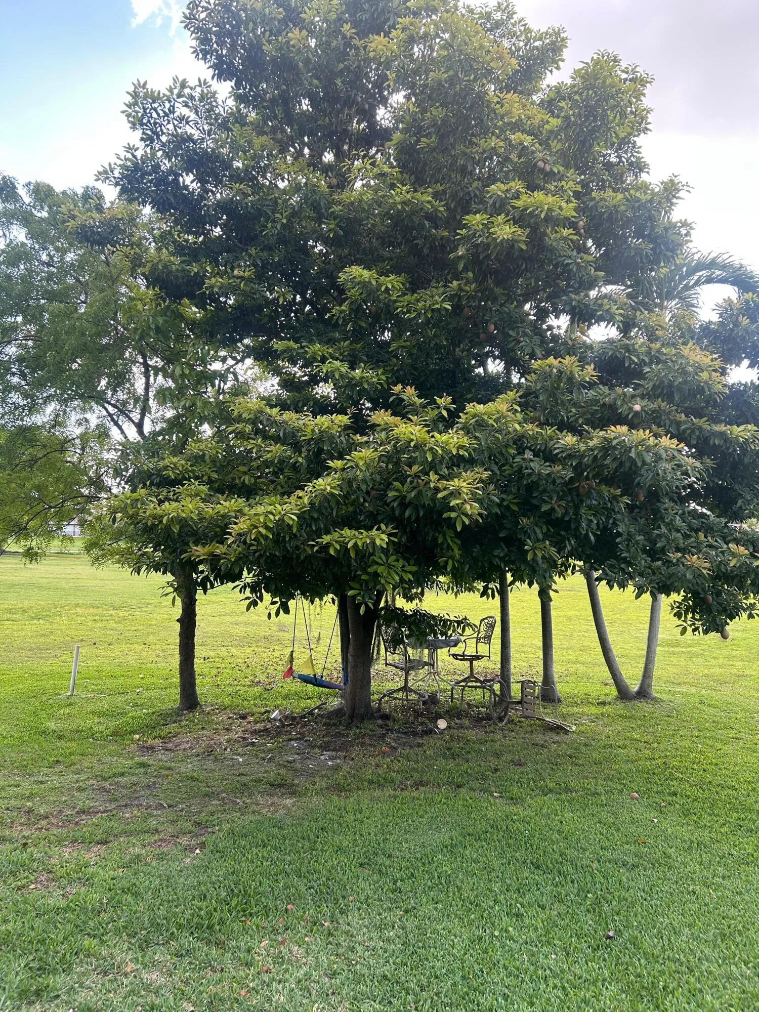 Property photo 18