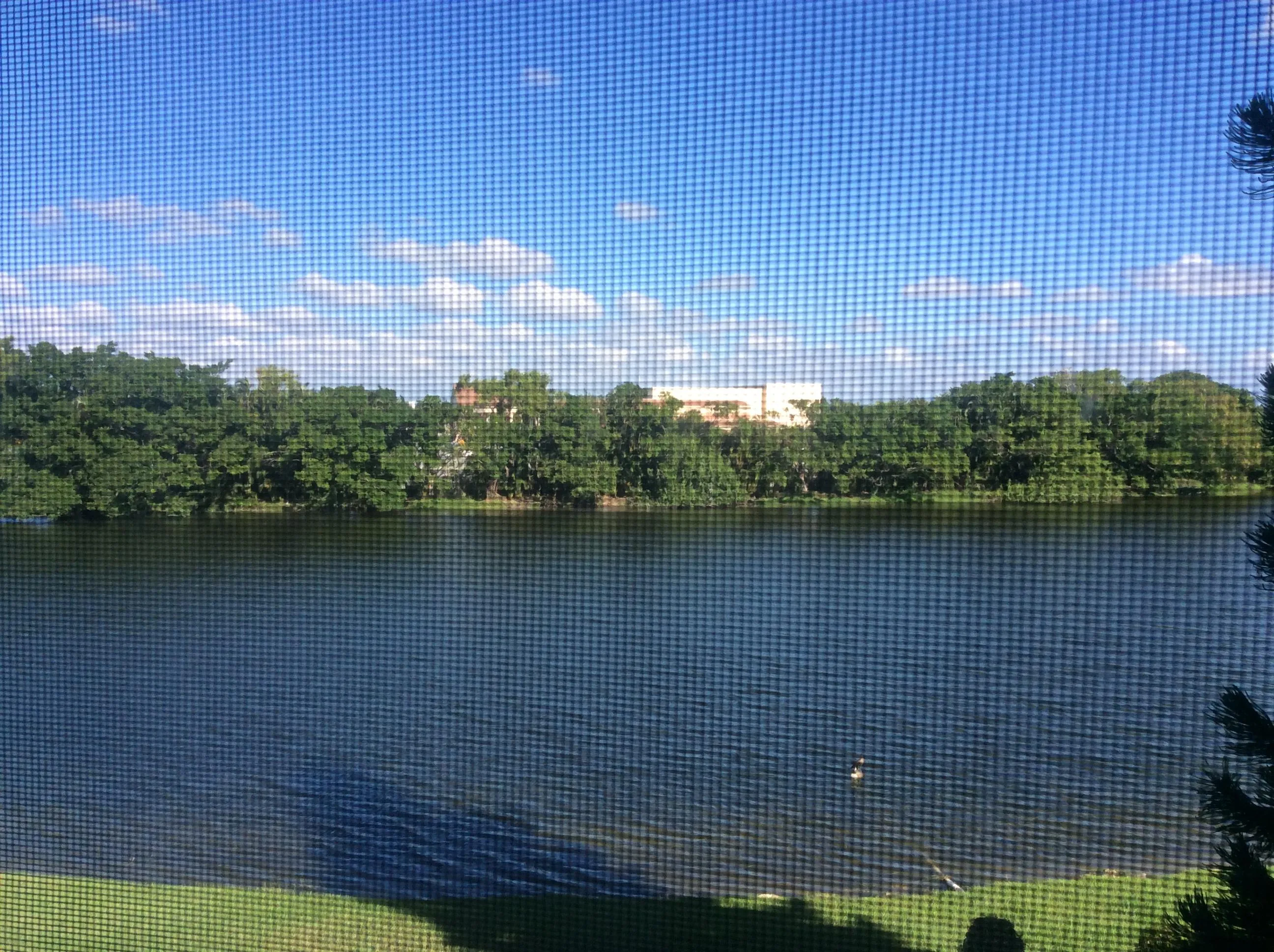 Lake View