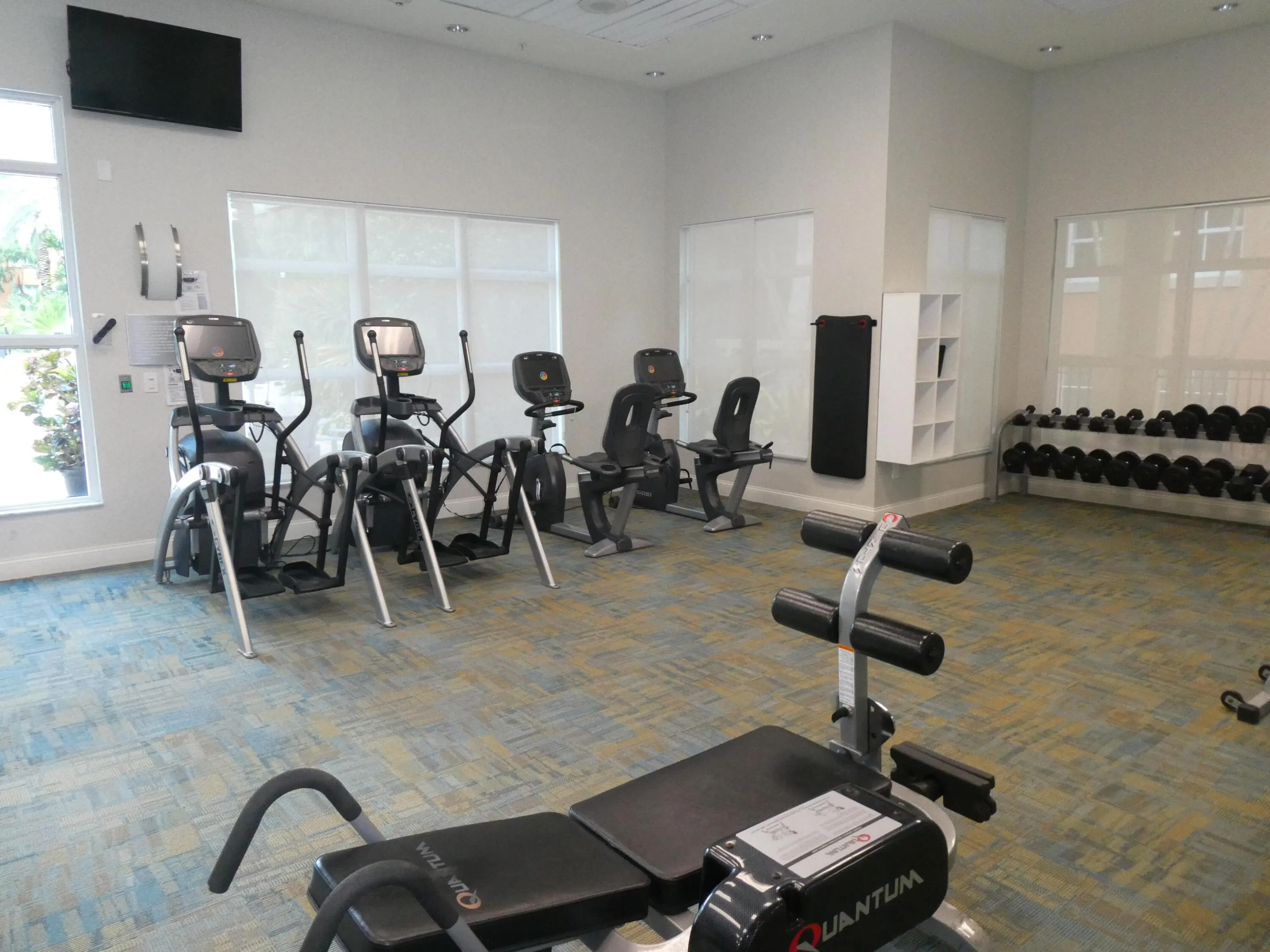 Gym+++