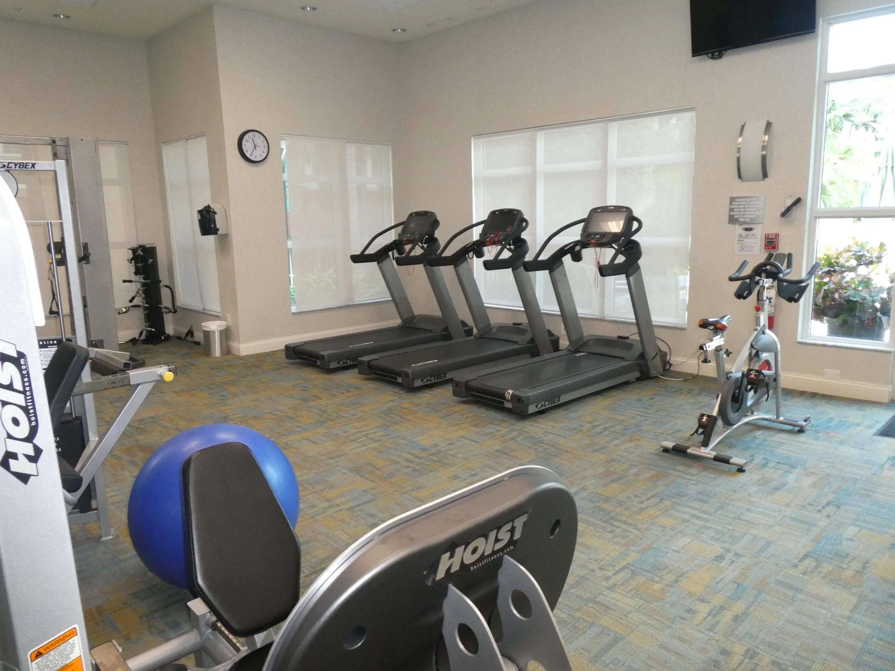 Gym++