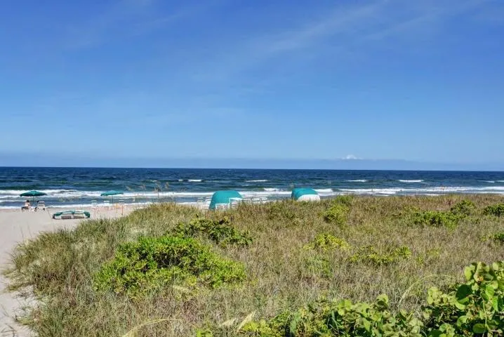 SEA RANCH BEACH