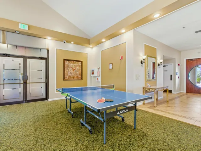 Clubhouse Ping Pong Table