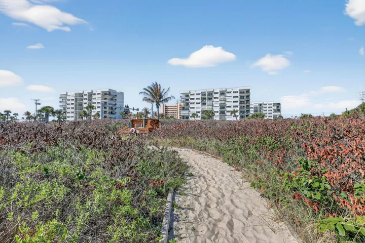 60-web-or-mls-5P1A9891