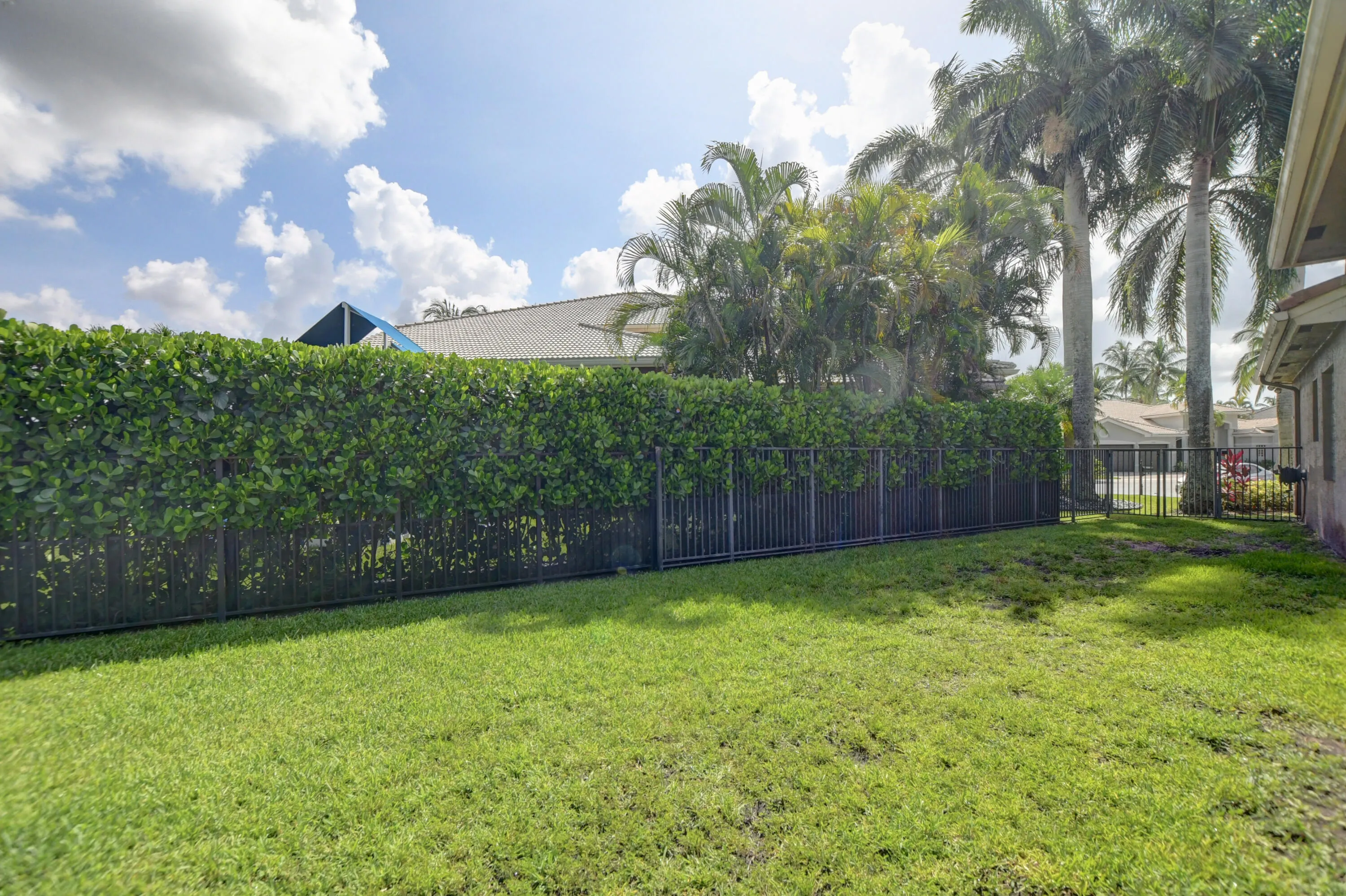 Fenced Backyard