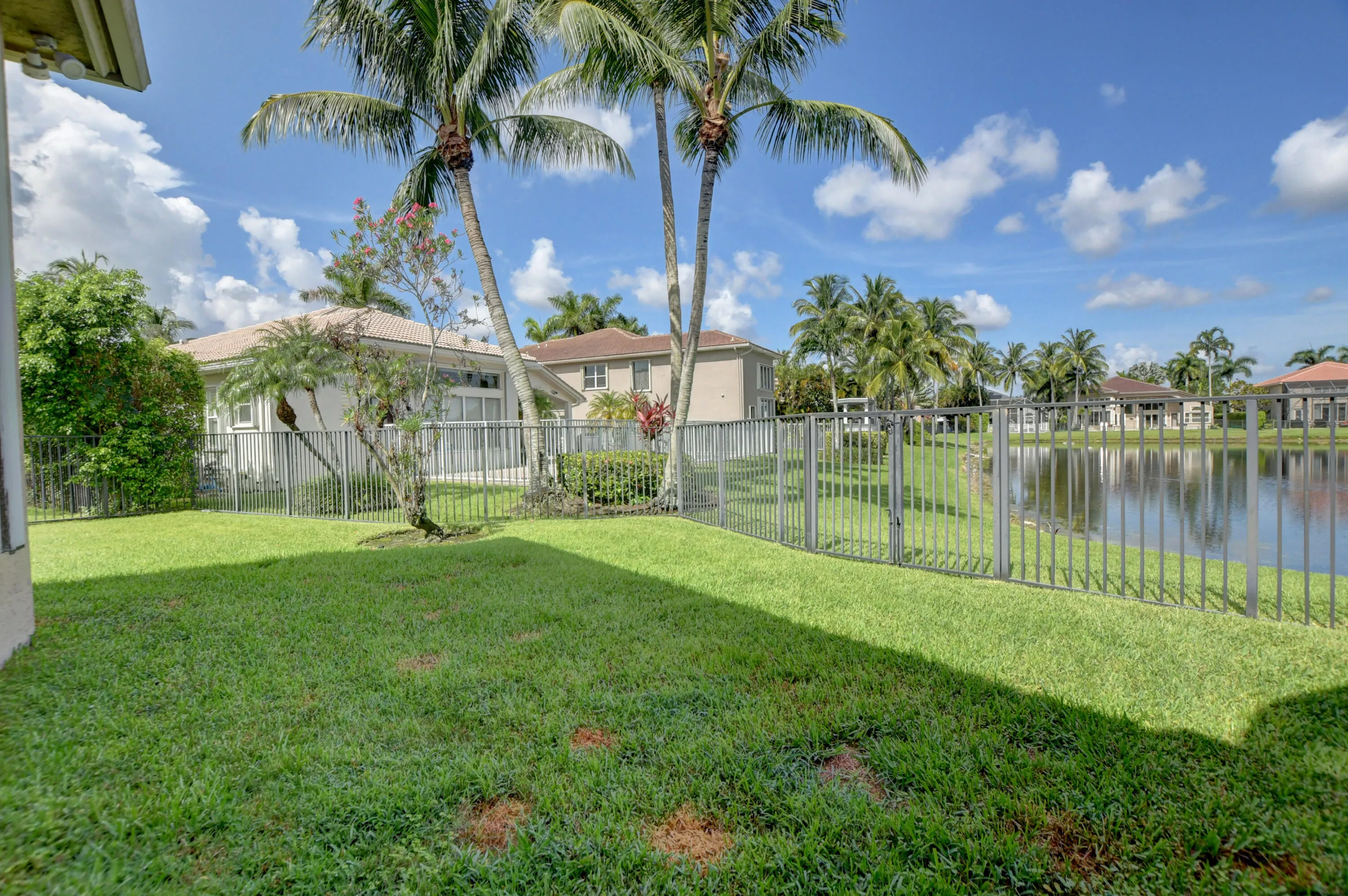 Fenced Backyard