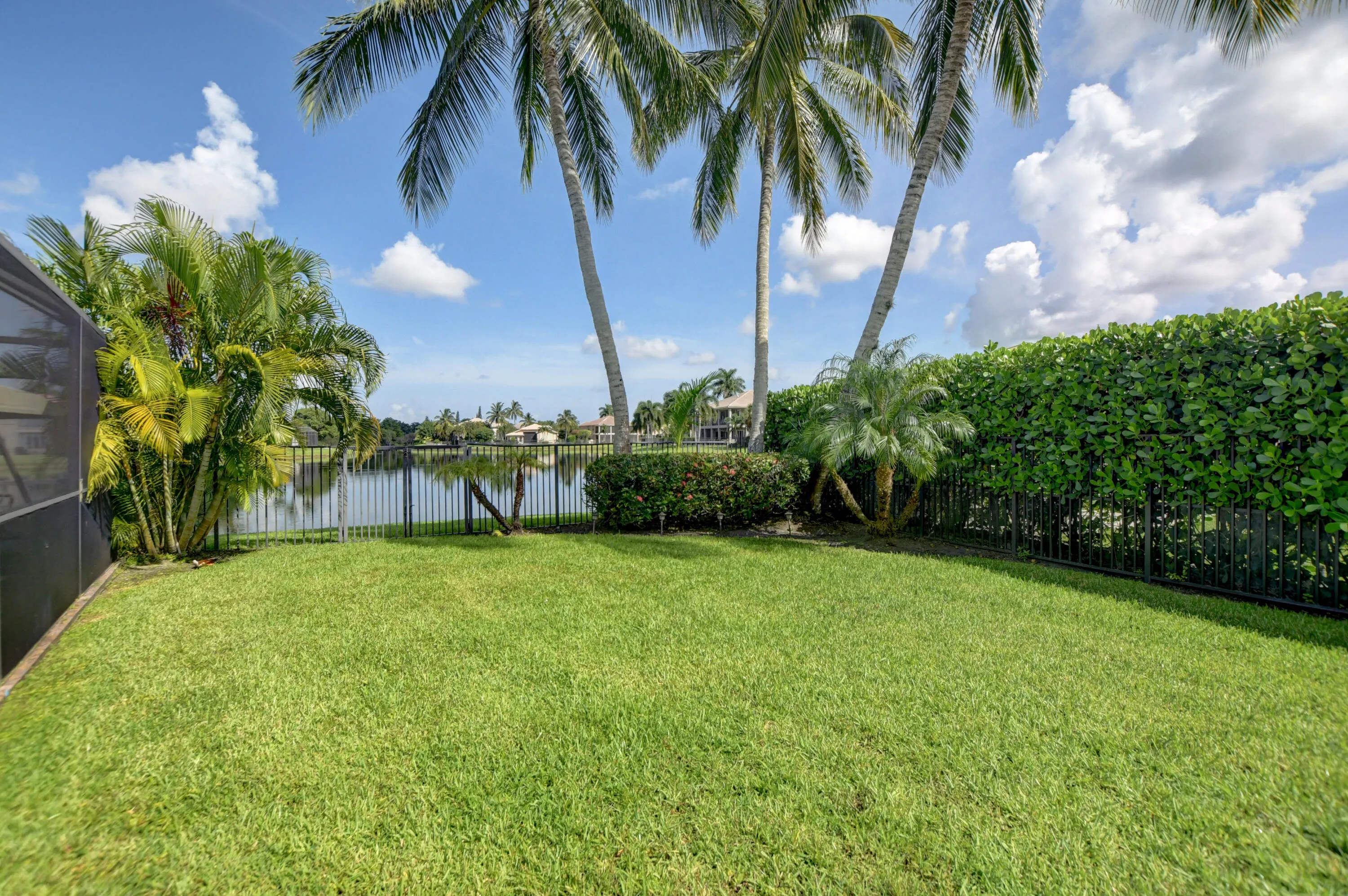 Fenced Backyard