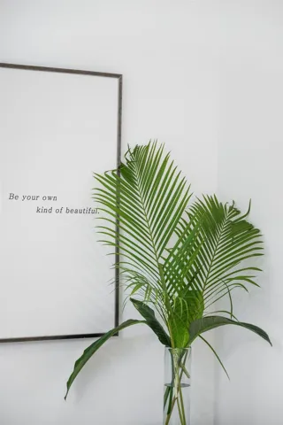 Thoughts...
