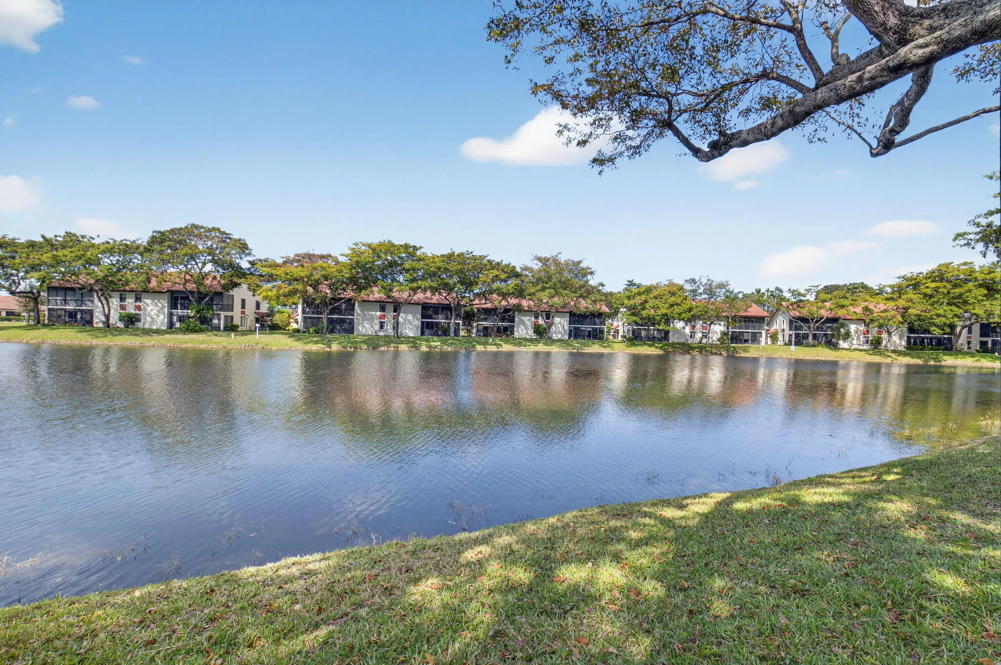 Tranquil Lake Views