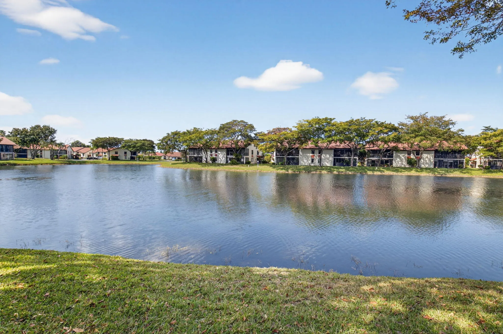 Tranquil Lake Views