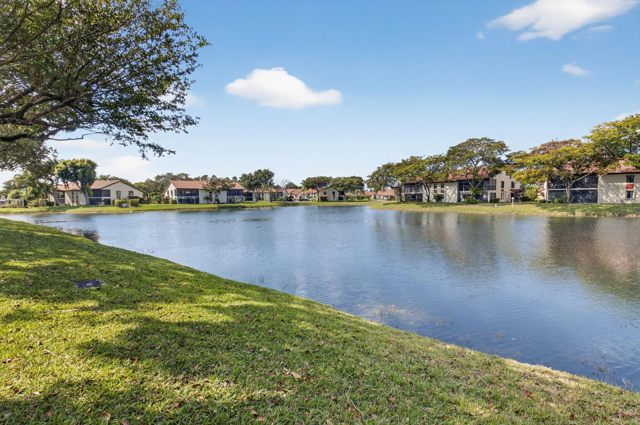 Tranquil Lake Views