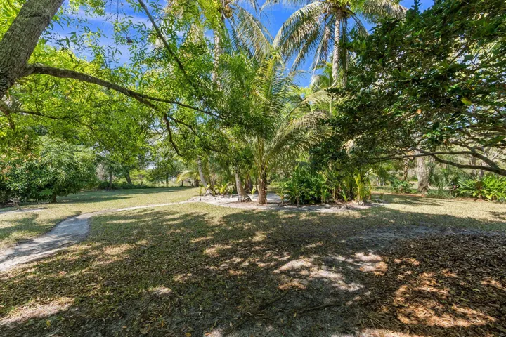 29-web-or-mls-DSC01877