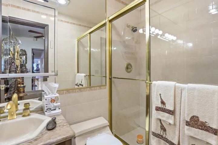 Downstairs Bathroom 1
