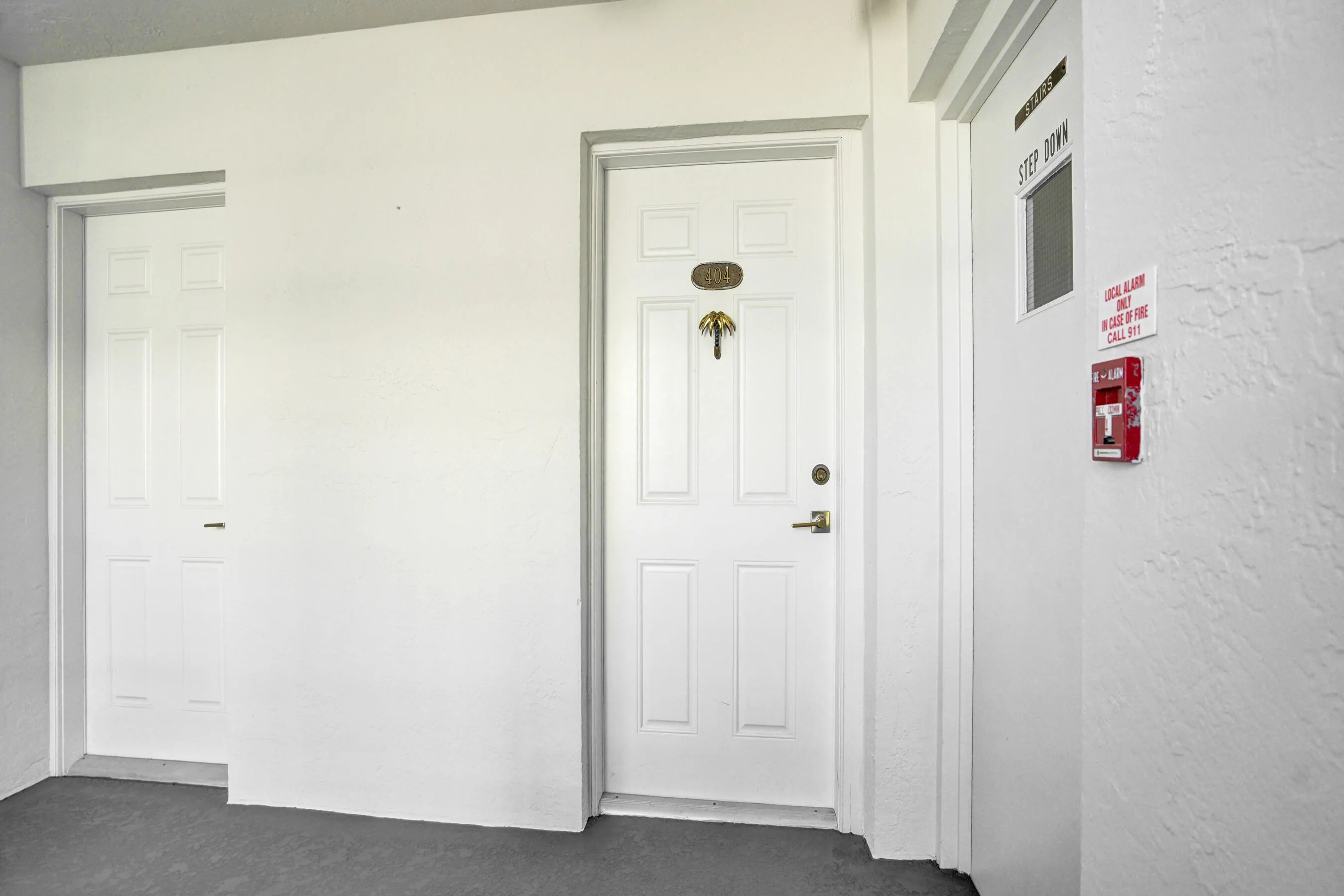 main condo entry door