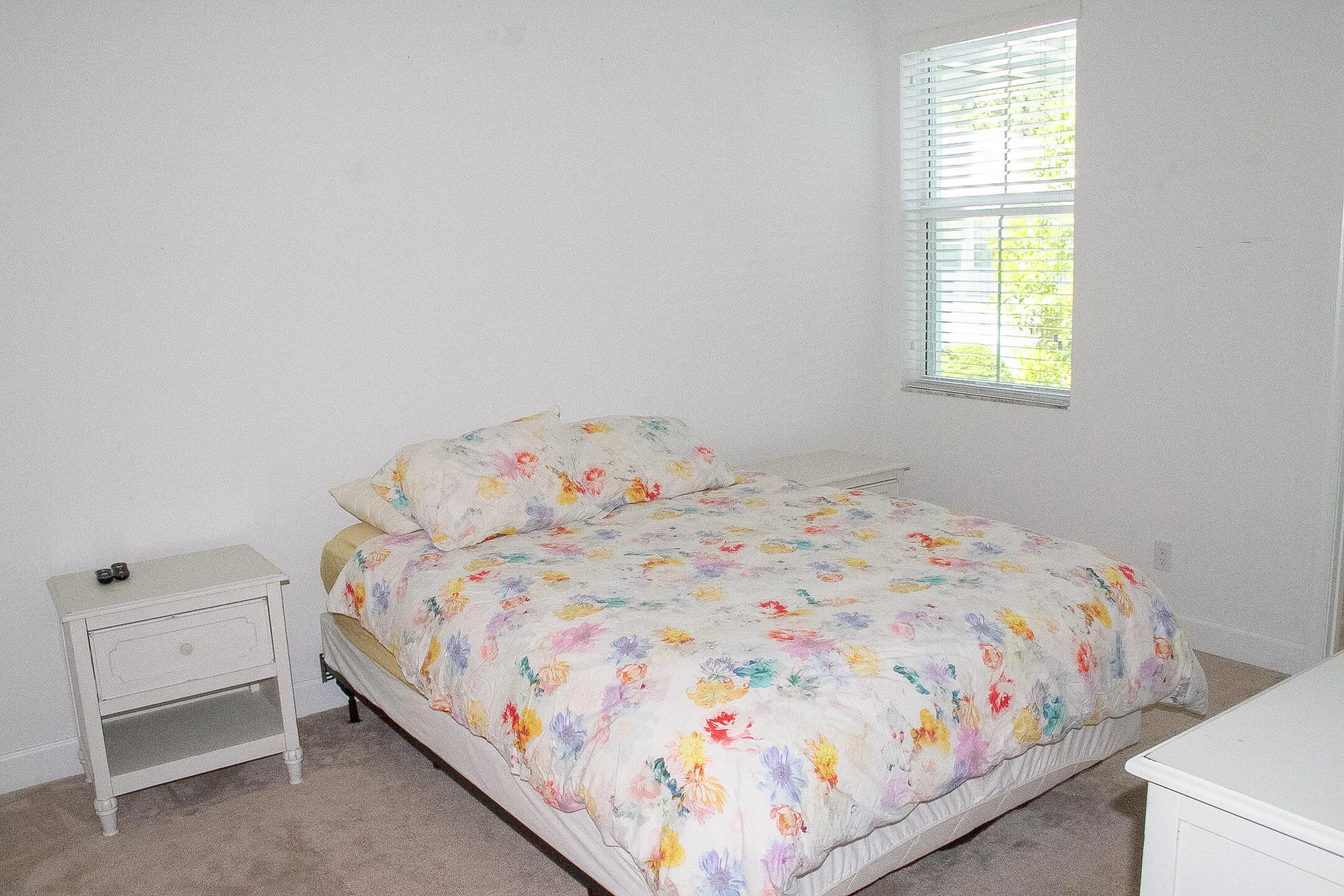 Property photo 58
